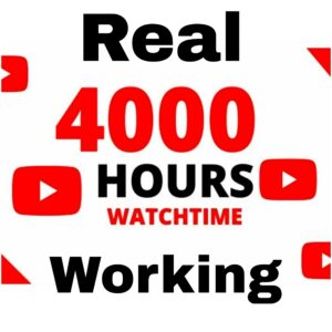 Youtube 4,000 Hours Watchtime  Software